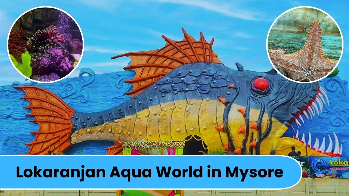 Lokaranjan Aqua World Underwater Zoo in Mysore