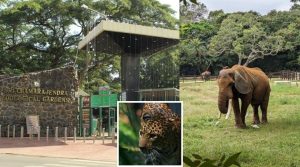 Mysore Zoo