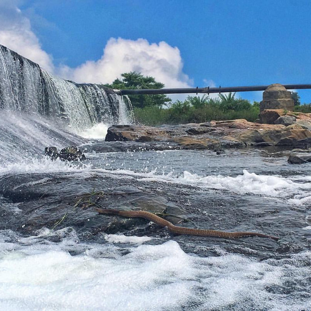 Balmuri Falls Mysore - Water falling from height picture by Arun Kumar