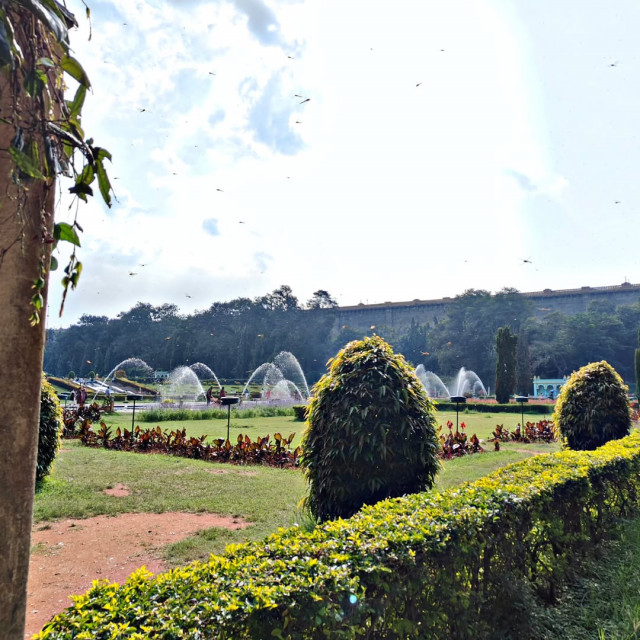 Brindavan Garden MysoreMedia