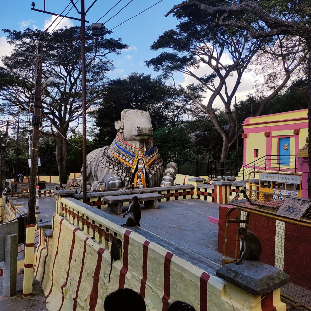 Chamundi-Hills-MysoreMedia