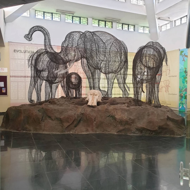 Regional Museum of Natural History Mysore