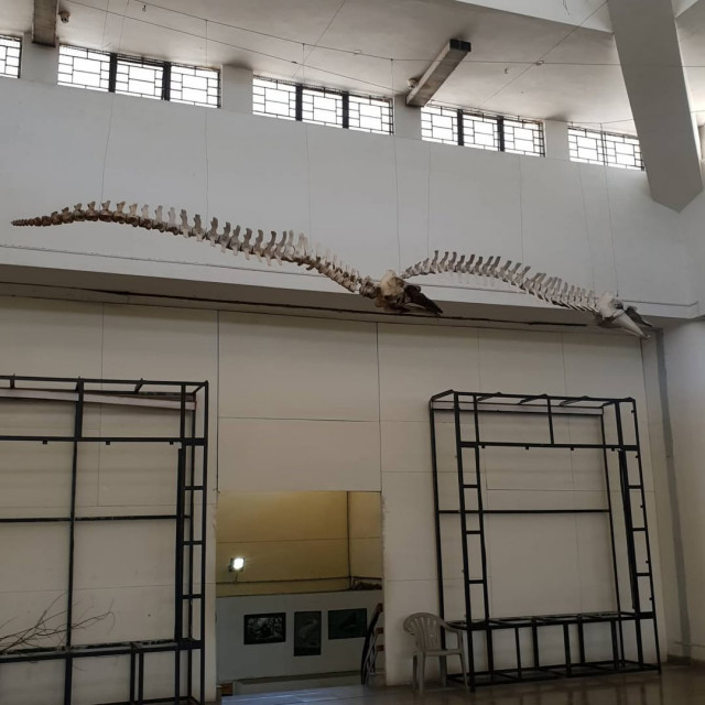 Regional Museum of Natural History Mysore