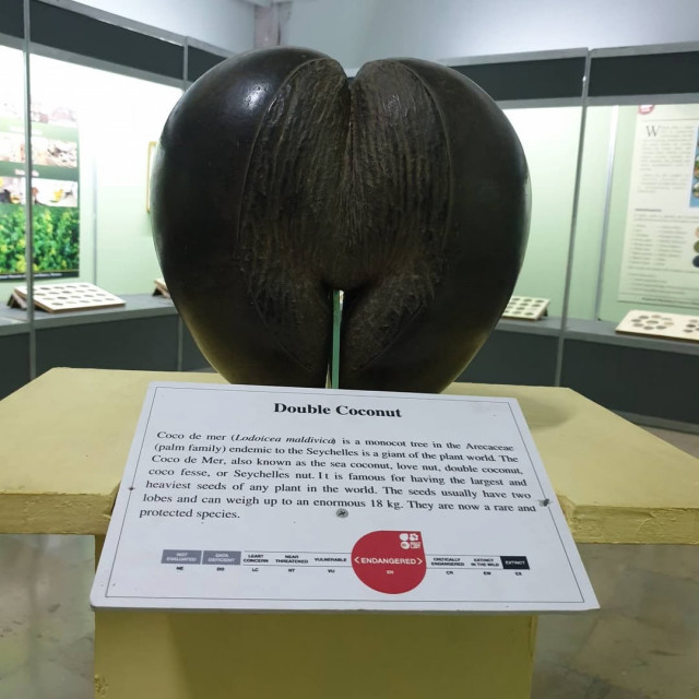 Regional Museum of Natural History Mysore