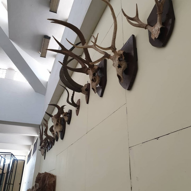 Regional Museum of Natural History Mysore